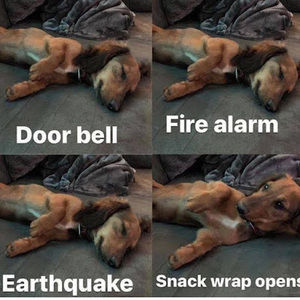 Meet your Posher, Logan